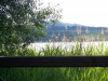 Machasee
