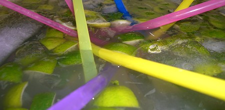 mojito1.jpg