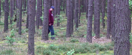 pilze-suchen.jpg