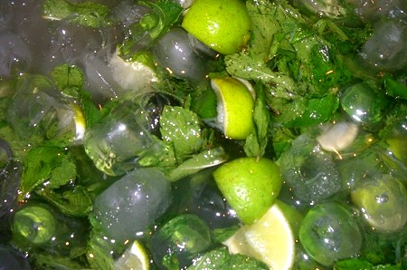 mojito2009.jpg