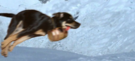 jessy_mit_rum.jpg