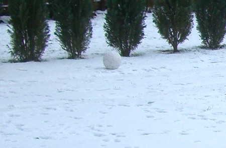 schnee-ball.jpg